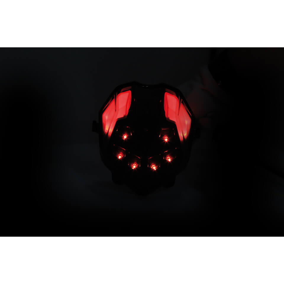 shin_yo LED Rücklicht für TRIUMPH STREET TRIPLE/R, DAYTONA 675/R